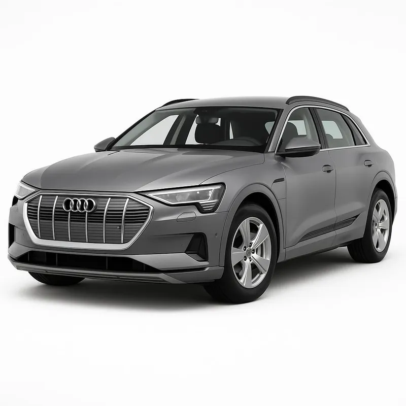 Bare transversale / portbagaj de plafon pentru Audi e-Tron 2018-2022 - Calitate de top