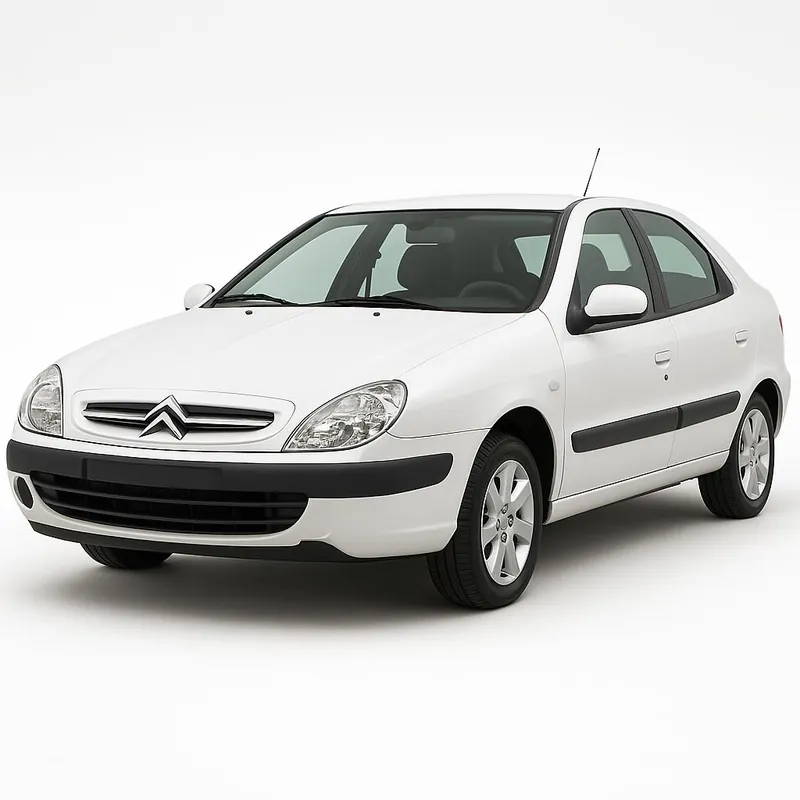 Accesorii & kituri bare plafon pentru Citroen Xsara II 2000-2006 | Calitate excelentă