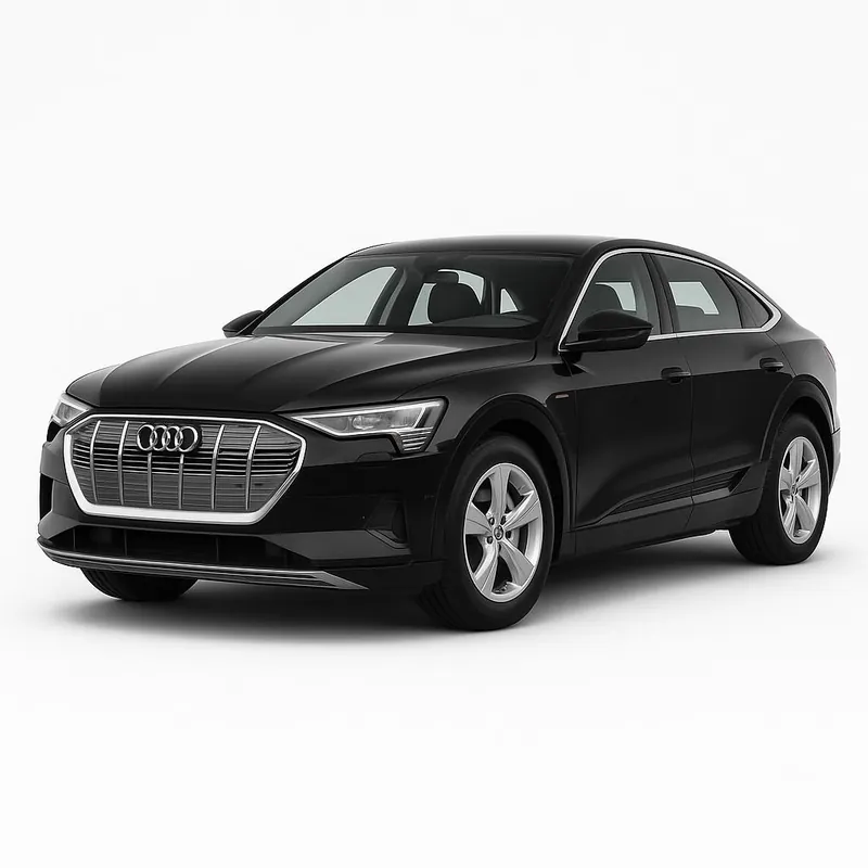 Accesorii & kituri bare plafon pentru Audi Q8 e-Tron/Q8 e-tron Sportback 2018-2025 | Oferta zilei