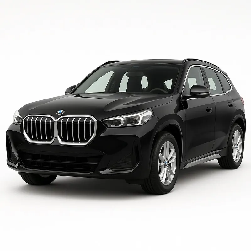 Accesorii & kituri bare plafon pentru BMW X1/iX1 (U11) 2022- | Plasează comanda